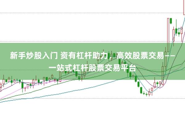 新手炒股入门 资有杠杆助力，高效股票交易——一站式杠杆股票交易平台