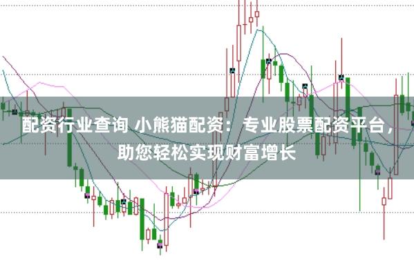 配资行业查询 小熊猫配资：专业股票配资平台，助您轻松实现财富增长