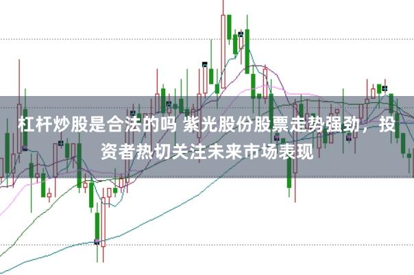 杠杆炒股是合法的吗 紫光股份股票走势强劲，投资者热切关注未来市场表现