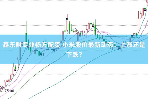 鑫东财专业杨方配资 小米股价最新动态：上涨还是下跌？