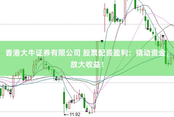 香港大牛证券有限公司 股票配资盈利：撬动资金，放大收益！