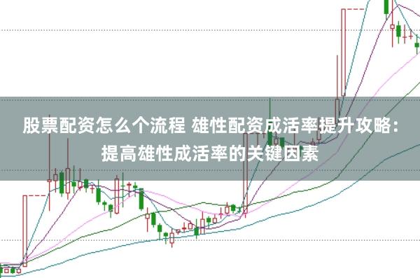 股票配资怎么个流程 雄性配资成活率提升攻略：提高雄性成活率的关键因素