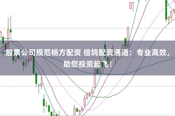 股票公司规范杨方配资 信鸽配资通道：专业高效，助您投资起飞！