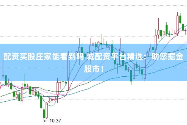 配资买股庄家能看到吗 城配资平台精选：助您掘金股市！