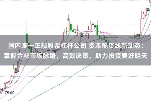 国内唯一正规股票杠杆公司 资本配资线新动态：掌握金融市场脉络，高效决策，助力投资美好明天