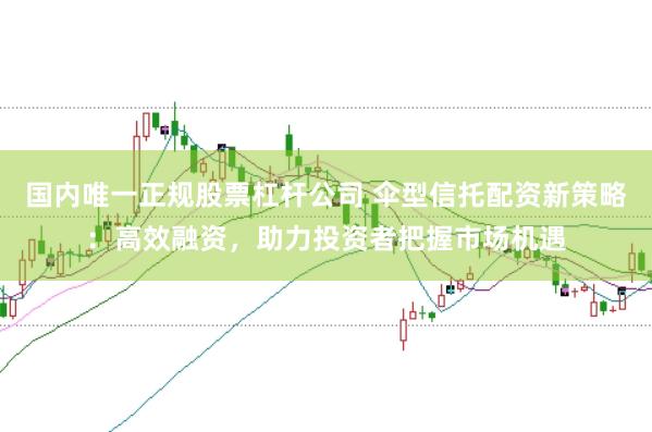 国内唯一正规股票杠杆公司 伞型信托配资新策略：高效融资，助力投资者把握市场机遇