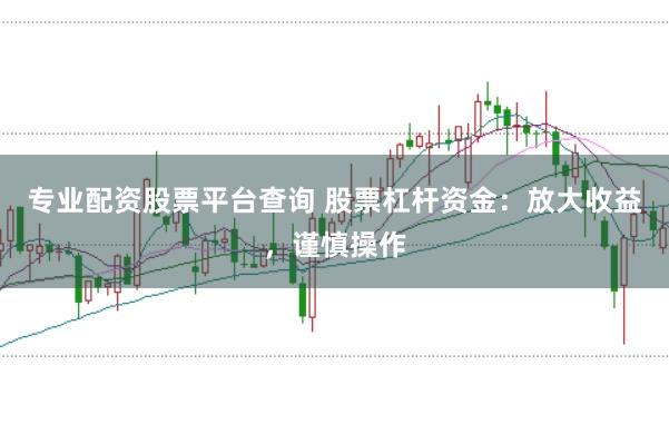 专业配资股票平台查询 股票杠杆资金：放大收益，谨慎操作