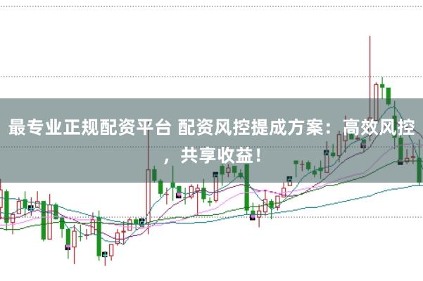 最专业正规配资平台 配资风控提成方案：高效风控，共享收益！