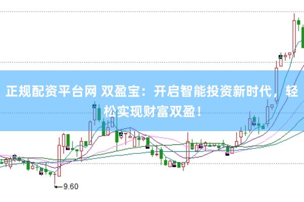 正规配资平台网 双盈宝：开启智能投资新时代，轻松实现财富双盈！