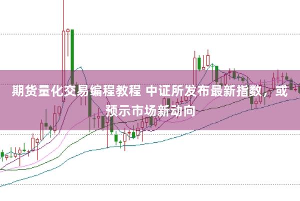 期货量化交易编程教程 中证所发布最新指数，或预示市场新动向