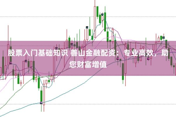 股票入门基础知识 善山金融配资：专业高效，助您财富增值