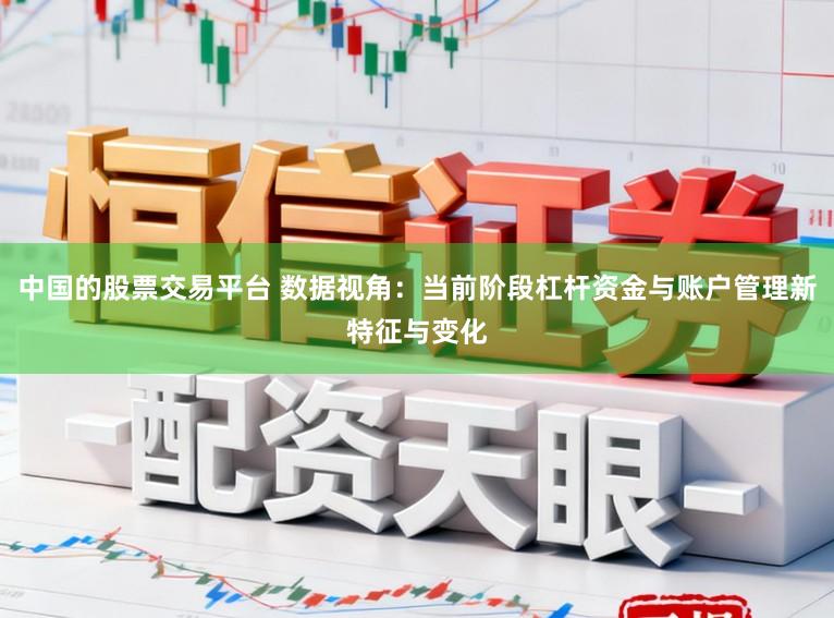 中国的股票交易平台 数据视角：当前阶段杠杆资金与账户管理新特征与变化